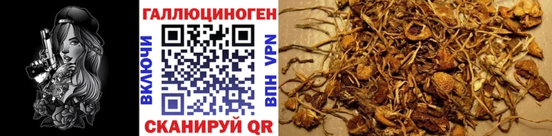 нарко площадка как зайти  цены   Семикаракорск  Галлюциногенные грибы MAGIC MUSHROOMS  mega ссылка 